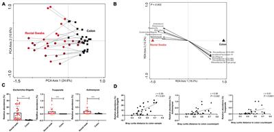 Assessing the Impact of Diet on the Mucosa-Adhered Microbiome in Piglets Using Comparative Analysis of Rectal Swabs and Colon Content